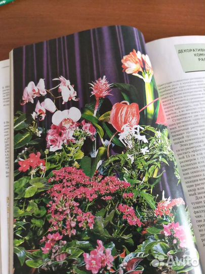 Книга о комнатных растениях обмен
