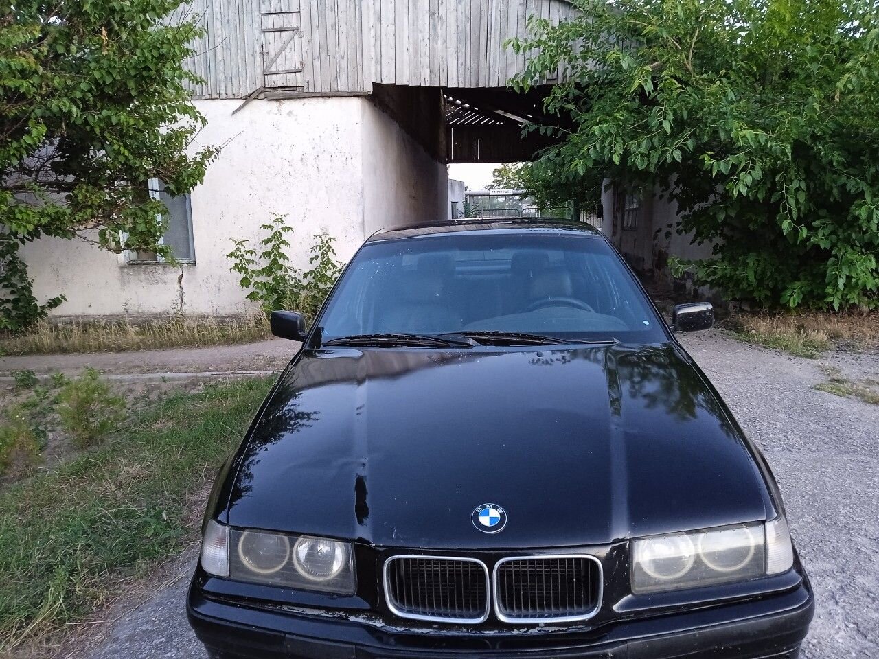 BMW 3 серия: фото владельца