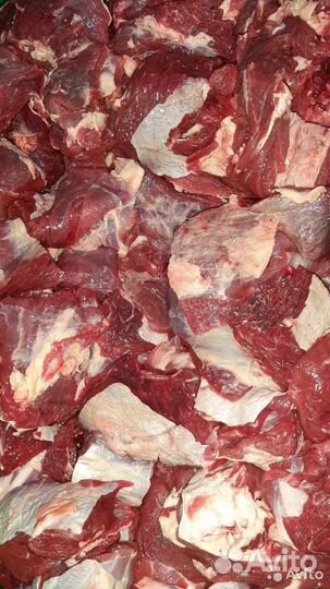 Продам мясо говядины