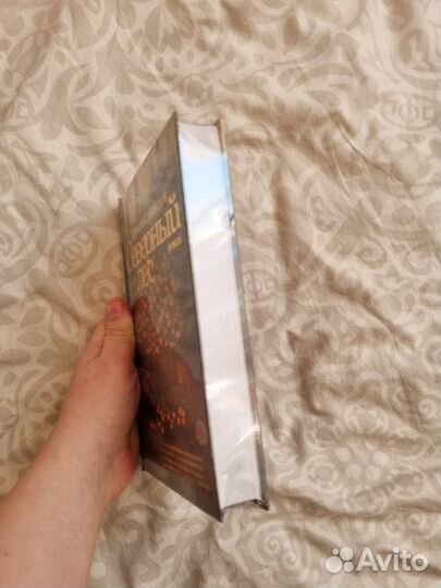 Северный лес книга мэйсон