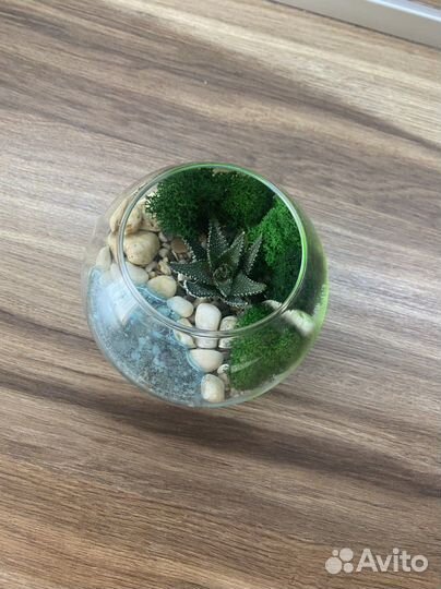 Флорариум с водоемом