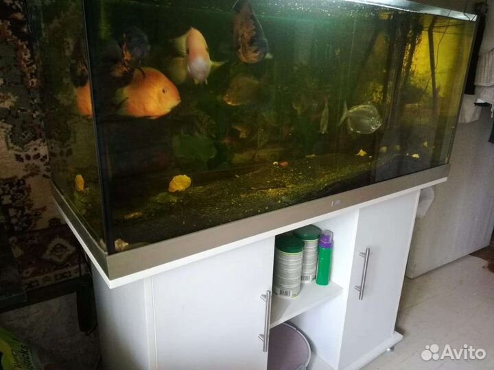 Аквариум