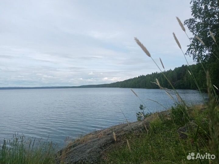 Петрозаводск Топ-Экскурсия Таёжное чаепитие: горны