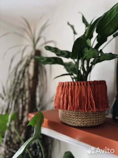 Корзины для интерьера