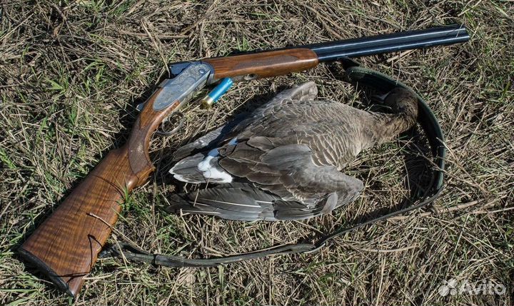 Охота на рябчика \ организация охоты