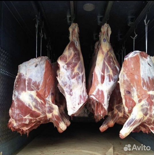 Мясо говядина домашняя