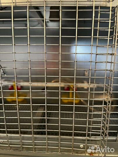Клетка брудер