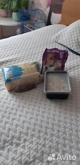 Клетка для джунгарского хомяка