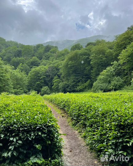 Джиппинг в Солохаул