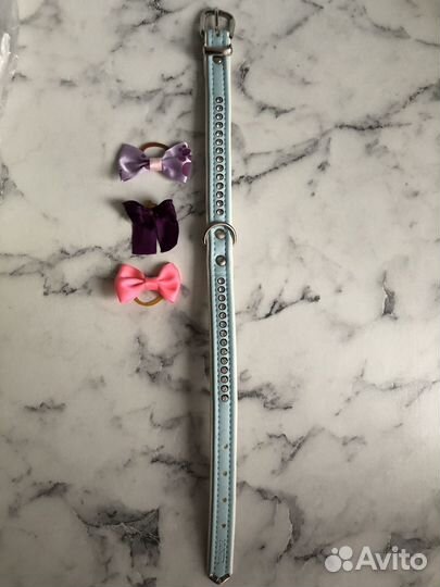 Ошейник для собак hunter modern luxus