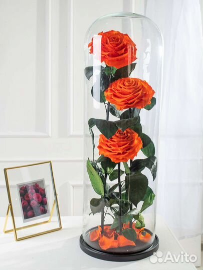 Цветы оптом