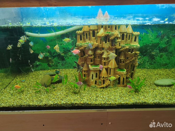Аквариум с тумбой