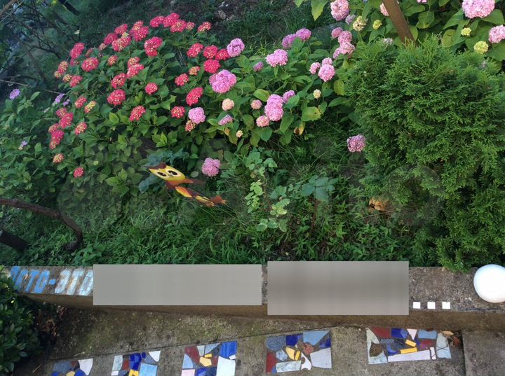 Комната 9 м² в 4-к., 1/2 эт.