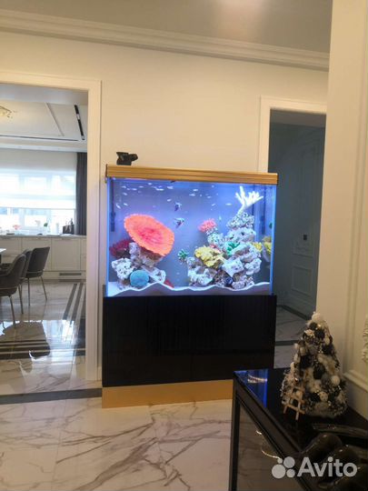 Аквариум
