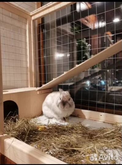 Клетки для кроликов, куриц, грызунов и др