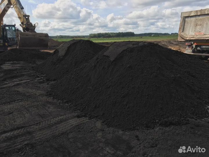 Чернозём тамбовский