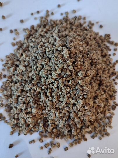 Семена Свекла сахарная протравленная