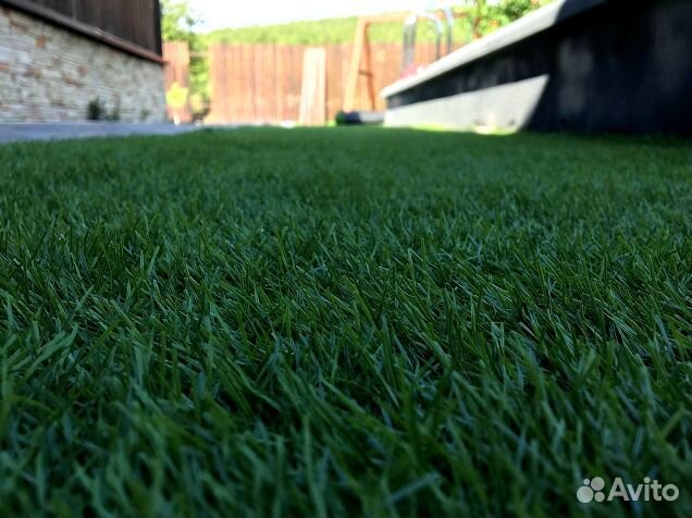 Смесь газонных трав. Посев