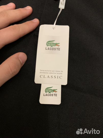 Поло lacoste