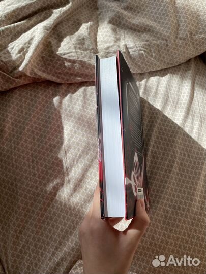 Благословение небожителей 1 том