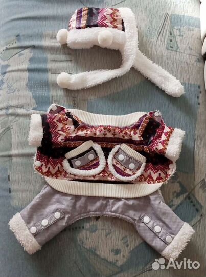 Одежда для маленьких собачек