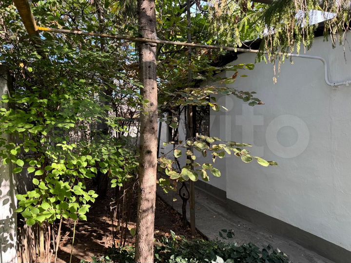 Дом 50 м² на участке 6 сот.