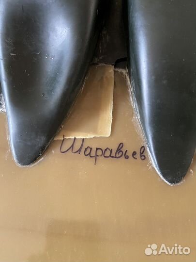 Моноласта, ласты