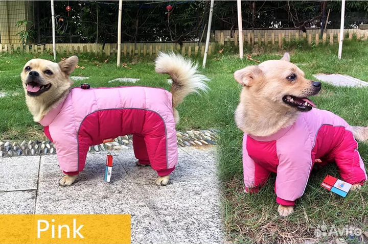 Зимний комбинезон для собаки мопс 22 размер