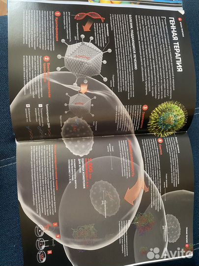 Энциклопедия