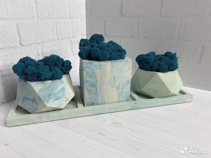 Гипсовое кашпо со стабилизированным мхом 