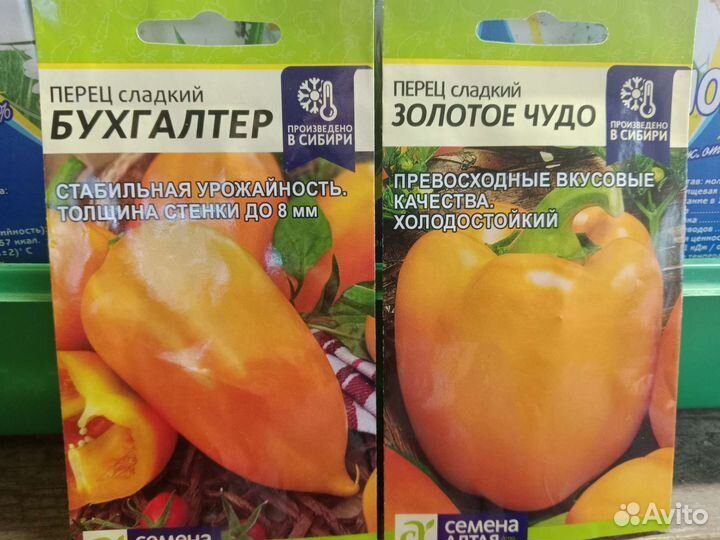 Рассада баклажан и перца