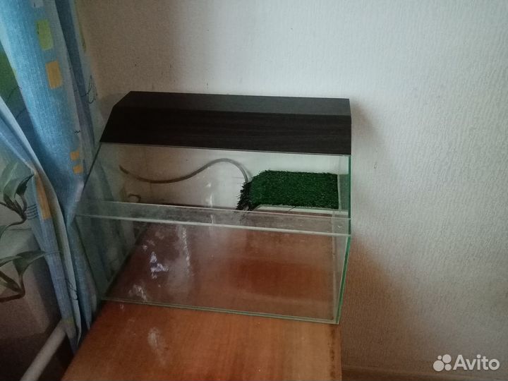 Аквариум, террариум, черепашник