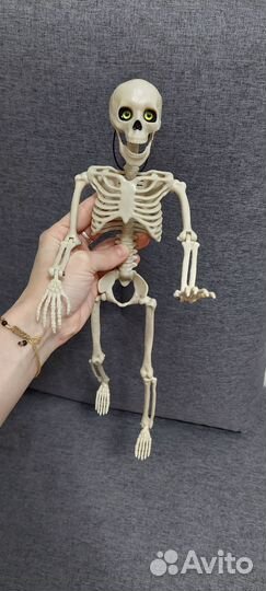 Модель скелета человека 40 см