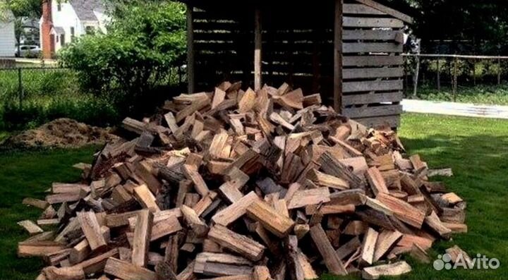 Дрова в область