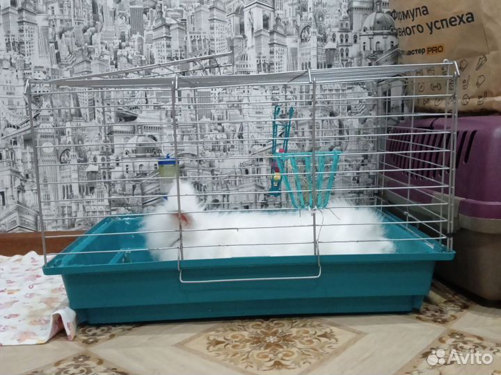 Клетка для грызунов