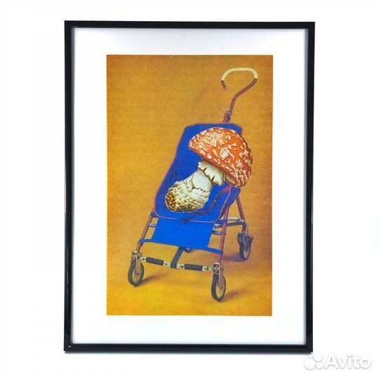 Постер “Amanita Road”