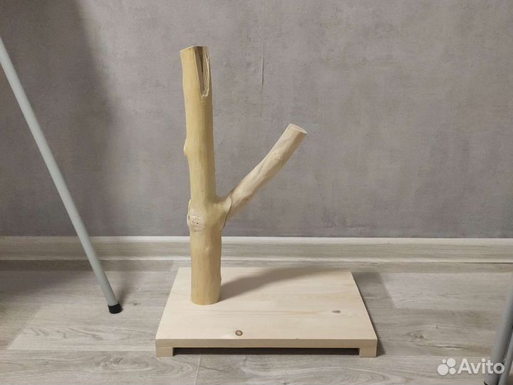 Когтеточка новая