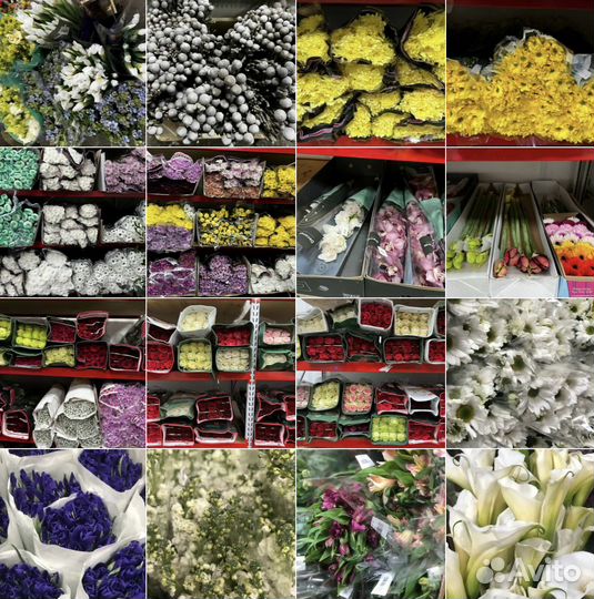 Цветы оптом - розы пионы альстромерия оптом