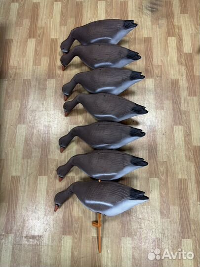 Чучела гусей 8штук