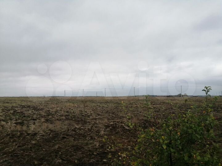 Участок 13,5 сот. (ИЖС)