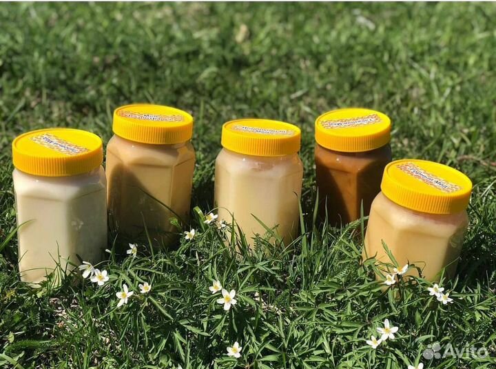 Мёд Алтая 2023 (Розница вес 1.2кг)