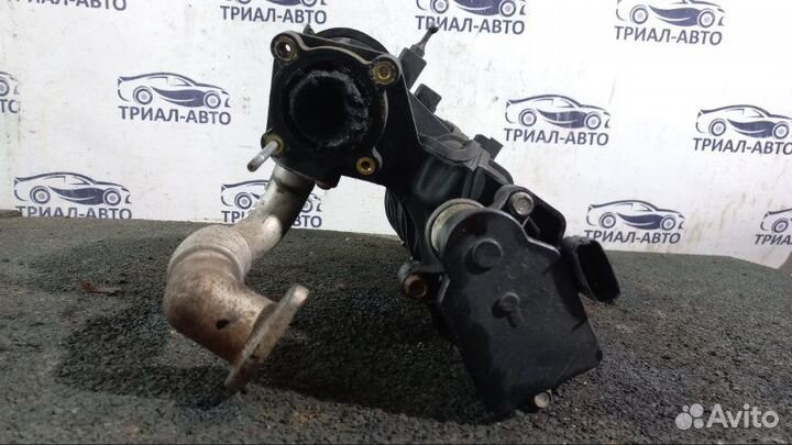 Коллектор sorento