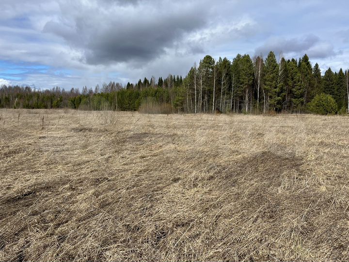 Участок 10,6 сот. (ИЖС)