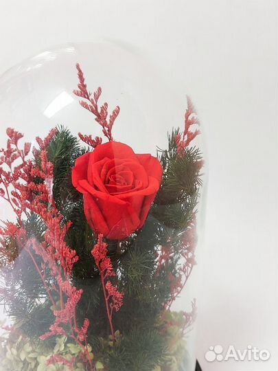 Вечная роза в колбе