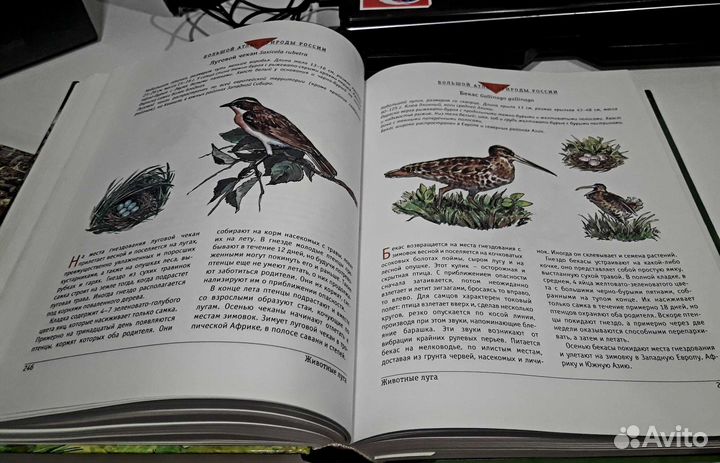 Книга большой атлас природы России