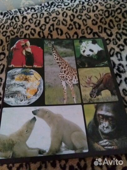 Книга о животных