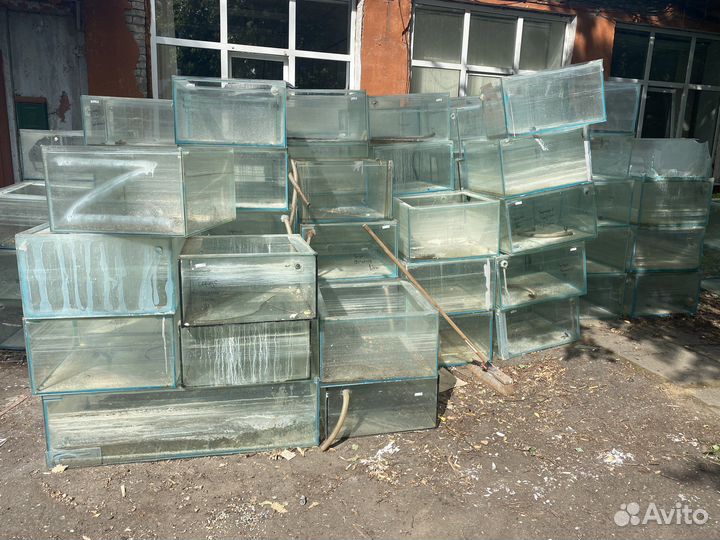 Аквариум для разведения рыб