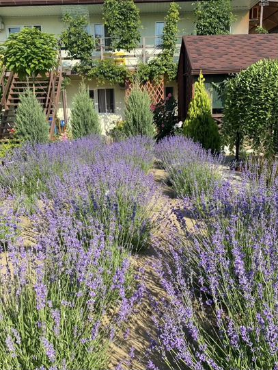 Комната 12 м² в 1-к., 1/2 эт.