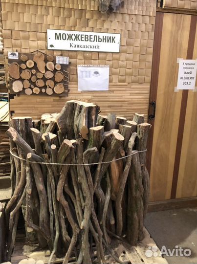 Можжевельник марийский(Кавказский) удмуртский 3-10