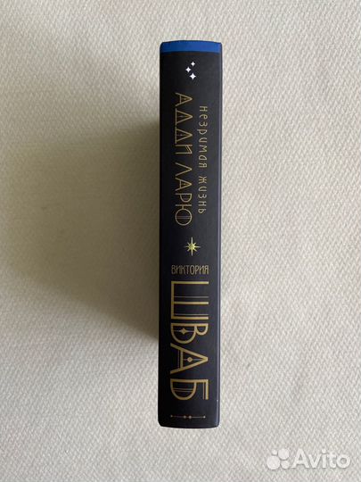 Книга Виктория Шваб 